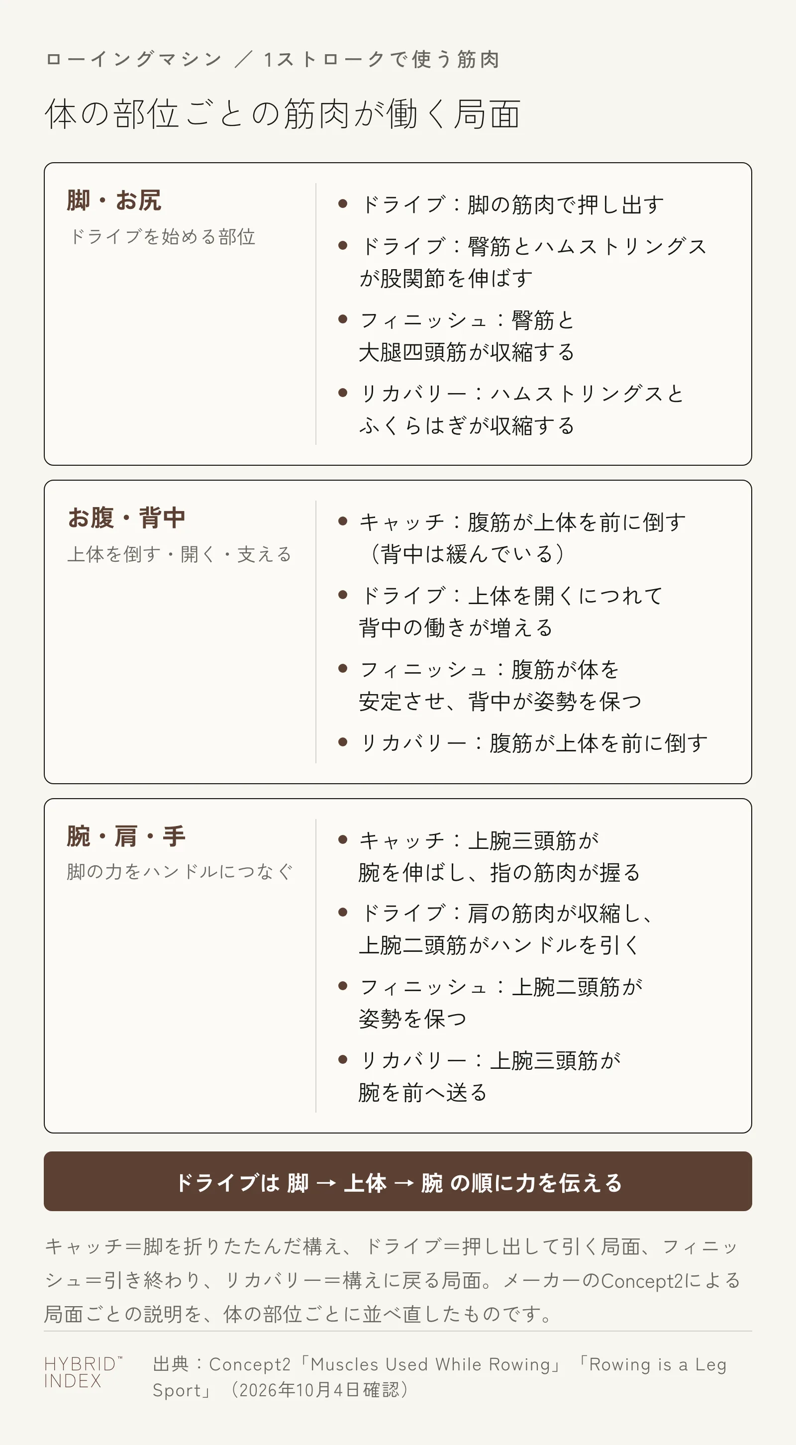 ローイングの1ストロークで筋肉が働く局面を、脚とお尻・お腹と背中・腕と肩と手という体の部位ごとに並べたカード図。ドライブは脚、上体、腕の順に力を伝える